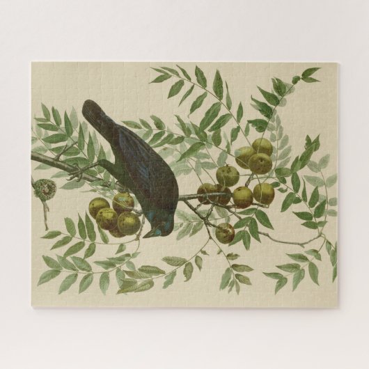Puzzle Audubon American Crow Black Bird (Horizontal)