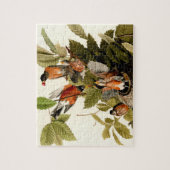 Puzzle Audubon American Robin Wildlife Bird (Vertical)