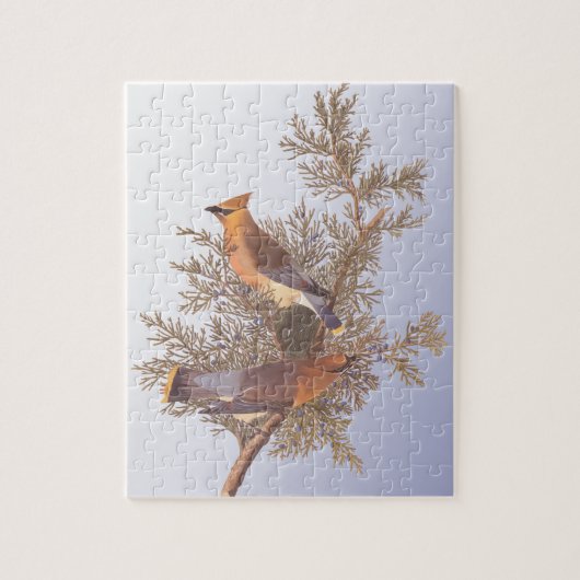 Puzzle Audubon Cedar Waxwing Bird on Evergreen Juniper (Vertical)
