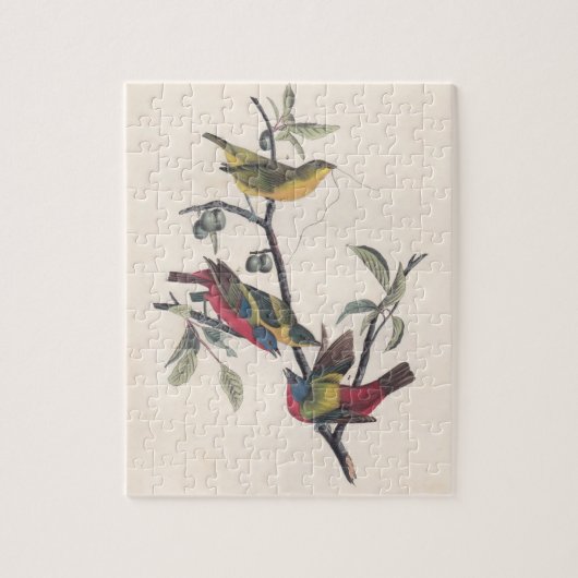 Puzzle Audubon Peint Bunting Bird Wildlife (Vertical)