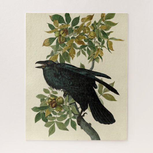 Puzzle Audubon Raven Oiseau classique (Vertical)