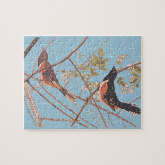 Puzzle Audubon's Towee Bunting (Horizontal)