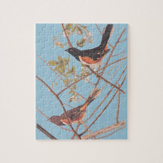 Puzzle Audubon's Towee Bunting (Vertical)