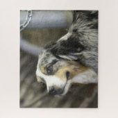 Puzzle Aussie (Vertical)