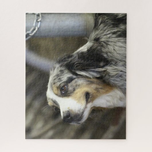 Puzzle Aussie (Vertical)