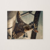 Puzzle Aussie Kangaroo Avion Pilote, (Horizontal)