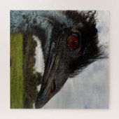 Puzzle Australian Emu Face Closeup, (Horizontal)