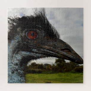 Puzzle Australian Emu Face Closeup,