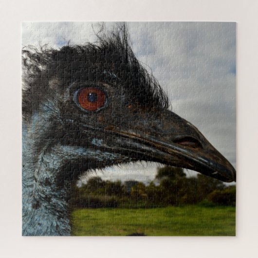 Puzzle Australian Emu Face Closeup, (Vertical)