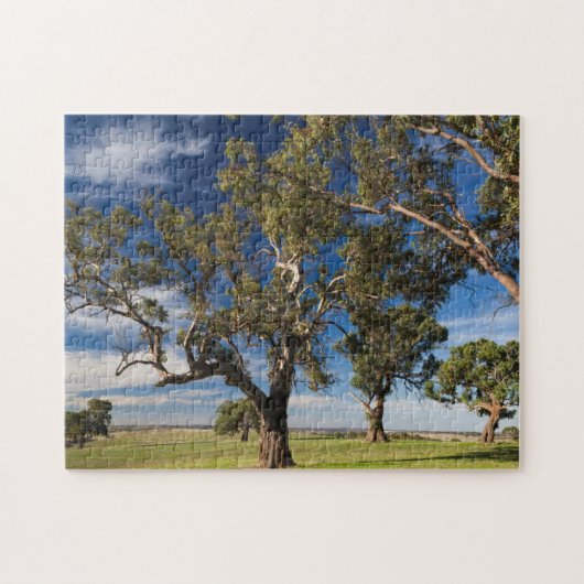 Puzzle Australie, Barossa Valley, Mount Pleasant (Horizontal)