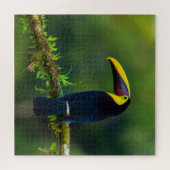 Puzzle Australien exotique été toucan oiseau défi (Horizontal)