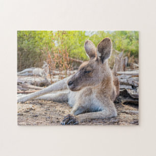 Puzzle Australienne Kangaroo Repose