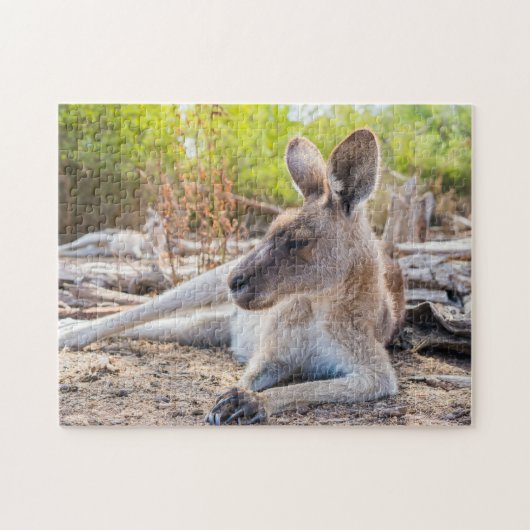 Puzzle Australienne Kangaroo Repose (Horizontal)