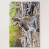 Puzzle Australienne Kangaroo Repose (Vertical)