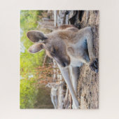 Puzzle Australienne Kangaroo Repose (Vertical)