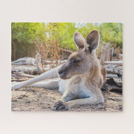 Puzzle Australienne Kangaroo Repose (Horizontal)