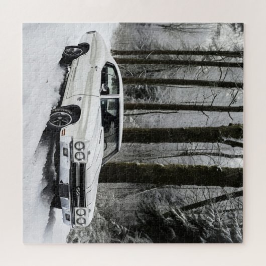 Puzzle Auto-Série 2-4 (Horizontal)