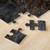 Puzzle Automne à Central Park New York (Côté)