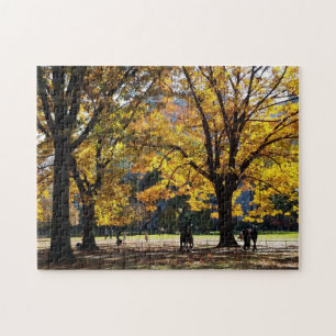 Puzzle Automne après-midi à Central Park