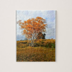 Puzzle Automne au lac Michigan