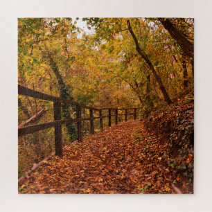 Puzzle Automne Automne Arbres Nature Feuilles Orange Jaun