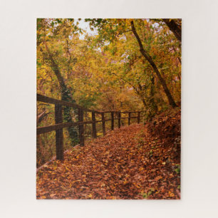 Puzzle Automne Automne Arbres Nature Feuilles Orange Jaun