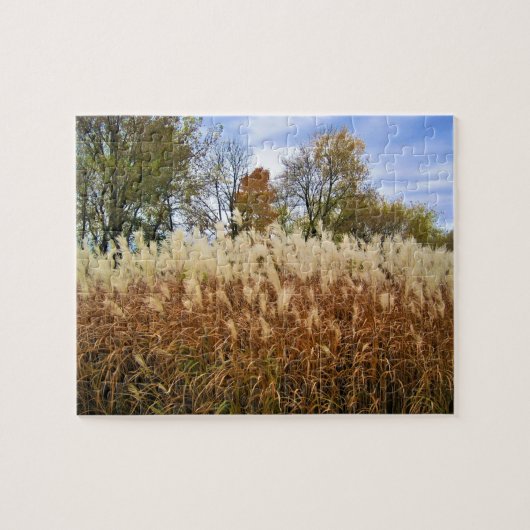 Puzzle Automne dans le Wisconsin (Horizontal)