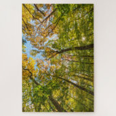 Puzzle Automne dans une forêt à Amesbury, Massachusetts (Vertical)