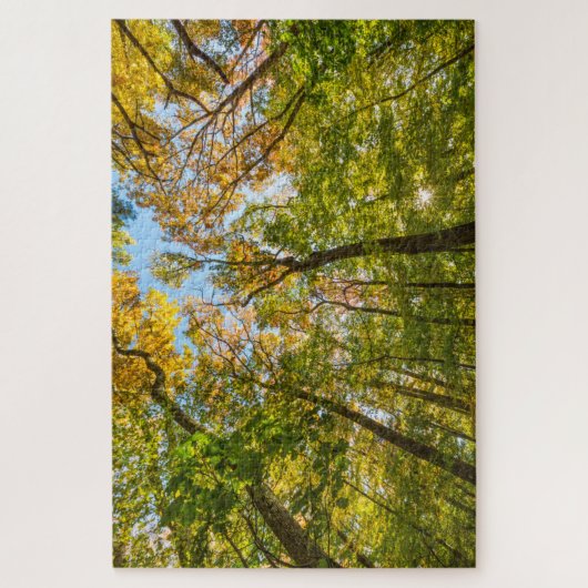 Puzzle Automne dans une forêt à Amesbury, Massachusetts (Vertical)