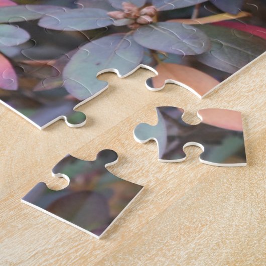 Puzzle Automne Feuillage Automne Feuilles Nature Arbre Ph (Côté)