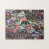 Puzzle Automne Feuillage Automne Feuilles Nature Arbre Ph (Horizontal)