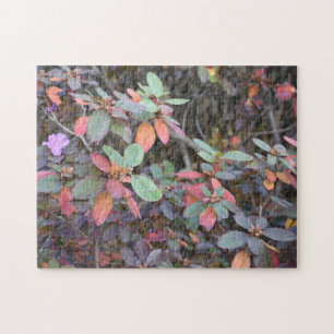 Puzzle Automne Feuillage Automne Feuilles Nature Arbre Ph