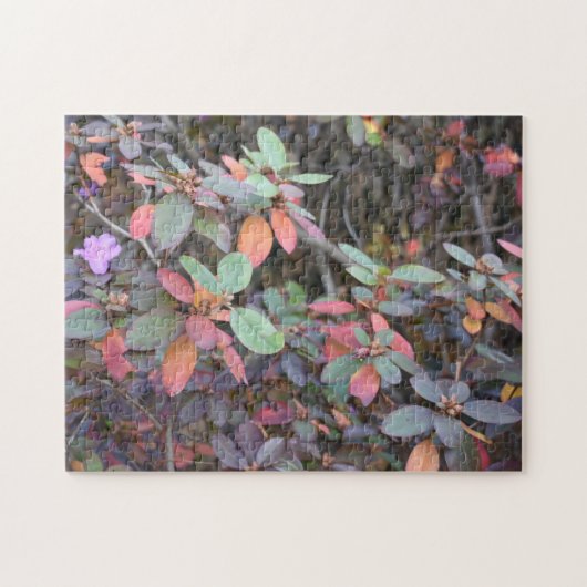 Puzzle Automne Feuillage Automne Feuilles Nature Arbre Ph (Horizontal)