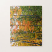 Puzzle Automne Maple Trees Automne Photographie de la nat (Vertical)
