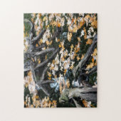 Puzzle Automne Otter Pond Feuille (Vertical)