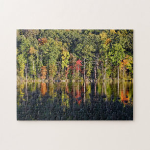 Puzzle Automne Sur Beardsley Pond