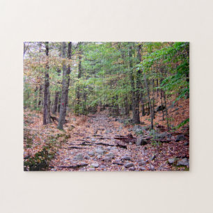 Puzzle Automne sur Blue Hills Réservation Red Dot Trail