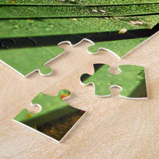 Puzzle Automne - Un siège à Central Park. (Côté)