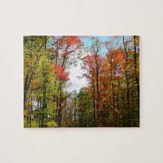 Puzzle Automnes Arbres et Ciel bleu Automne Photographie (Horizontal)