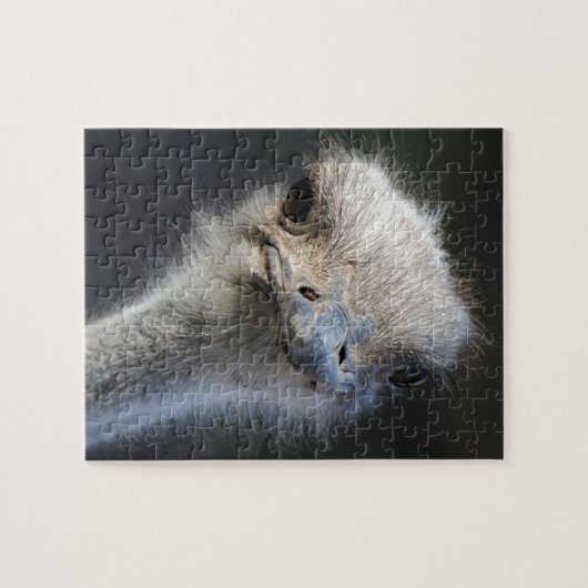 Puzzle Autruche (Horizontal)