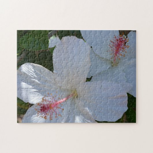 Puzzle aux parfums floraux (Horizontal)