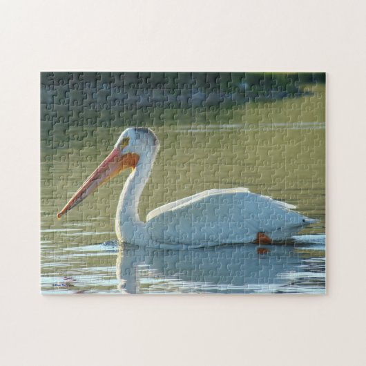 Puzzle Avant Pélican Blanc (Horizontal)