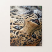 Puzzle avec boîte cadeau/Cheetah (Vertical)