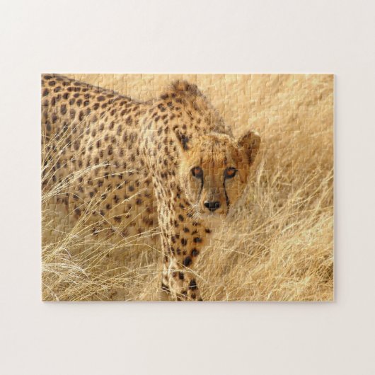 Puzzle avec boîte cadeau/Cheetah (Horizontal)