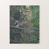 Puzzle avec boîte cadeau/Doe dans Woods (Vertical)