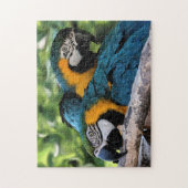 Puzzle avec boîte cadeau/perroquets (Vertical)