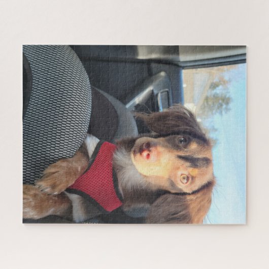 puzzle avec Kio le chiot (Horizontal)