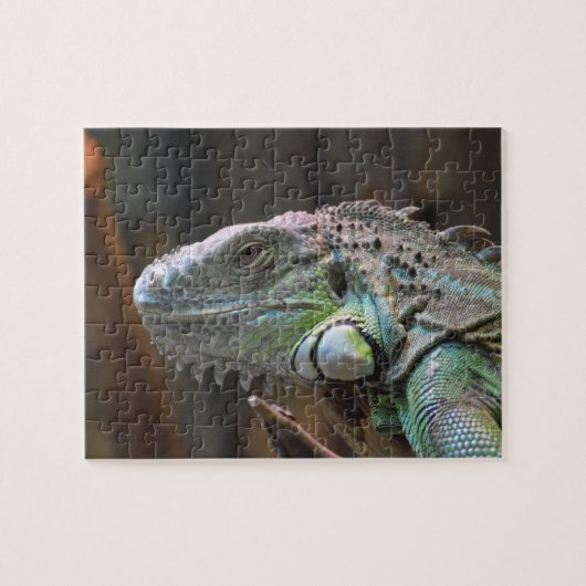Puzzle avec tête colorée Iguana lézard (Horizontal)