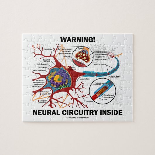 Puzzle Avertissement ! Intérieur neural de circuits (Horizontal)