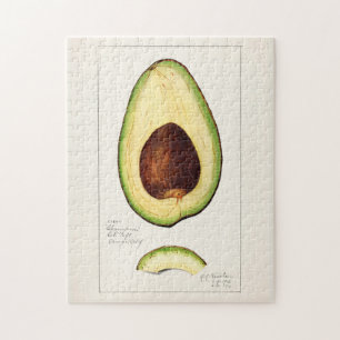 Puzzle Avocado (Persea) Peinture d'aquarelle de fruits